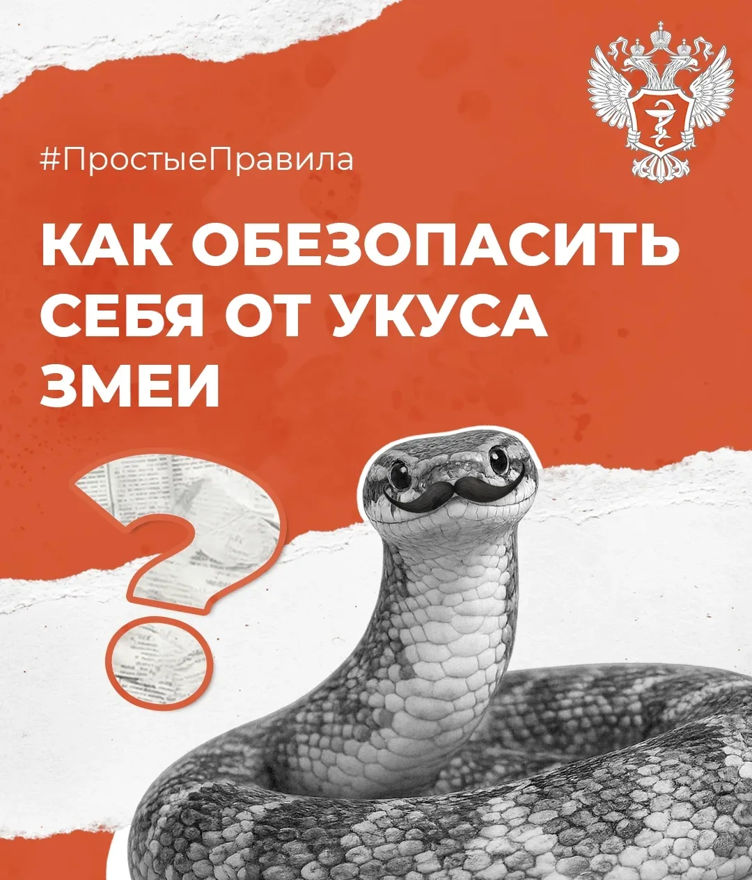 🐍 Как обезопасить себя от укуса змеи