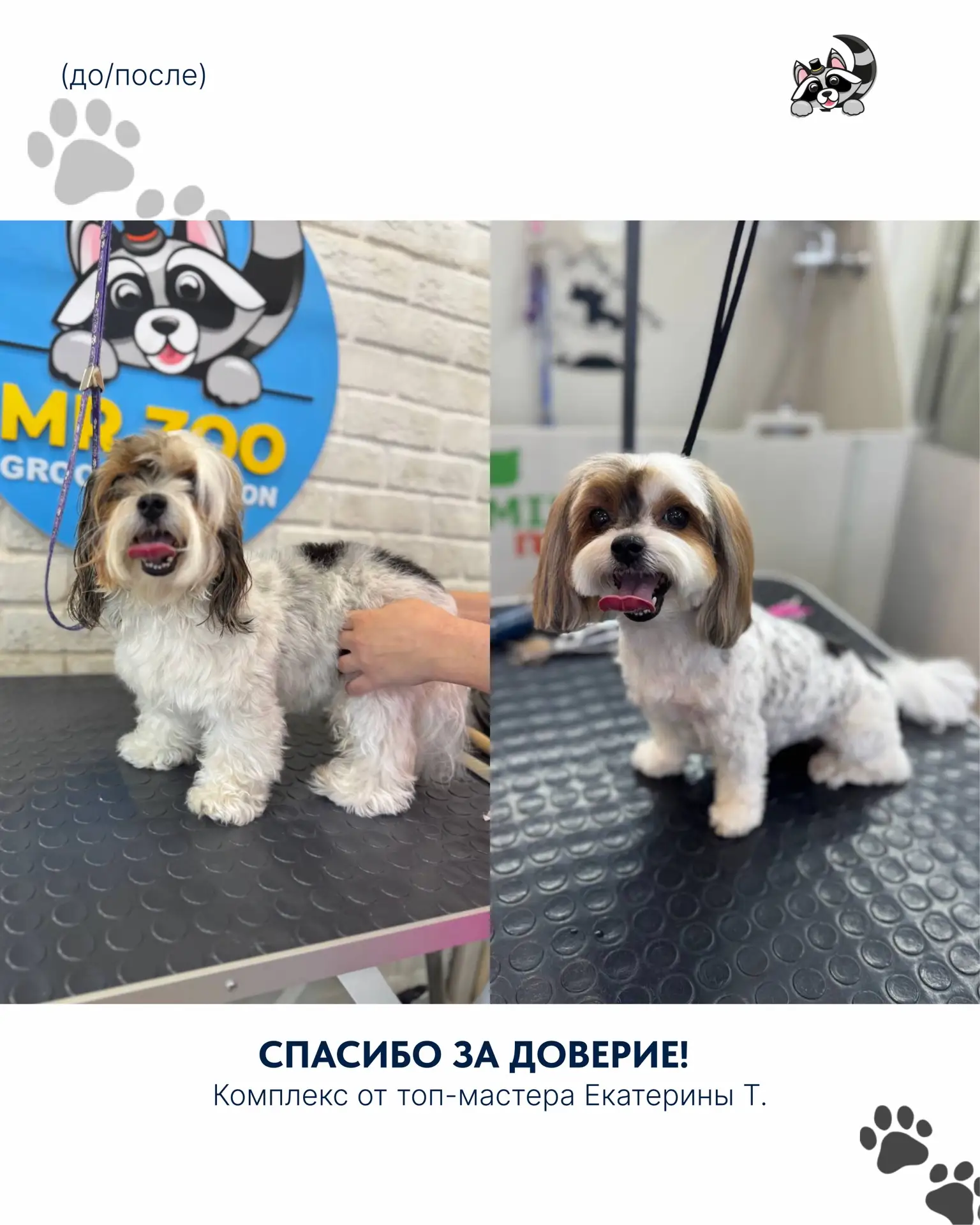 Спасибо, что доверяете нам самое дорогое 🐾