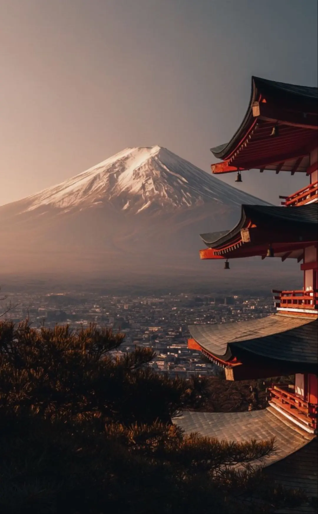 🍁 ОСЕННИЕ КАНИКУЛЫ В ТОКИО 🇯🇵