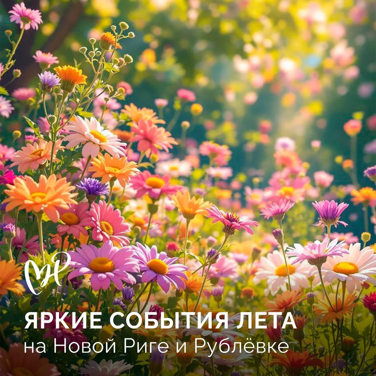 Лето на Новой Риге и Рублевке: что нельзя пропустить ☀️

Сохраняйте в календари, планируйте выходные