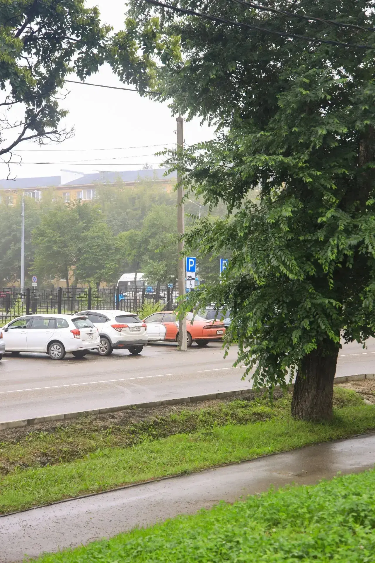 Таким выдалось утро 28 июля в Свободном

📸 Густой туман окутал город, скрыв привычные виды и создав