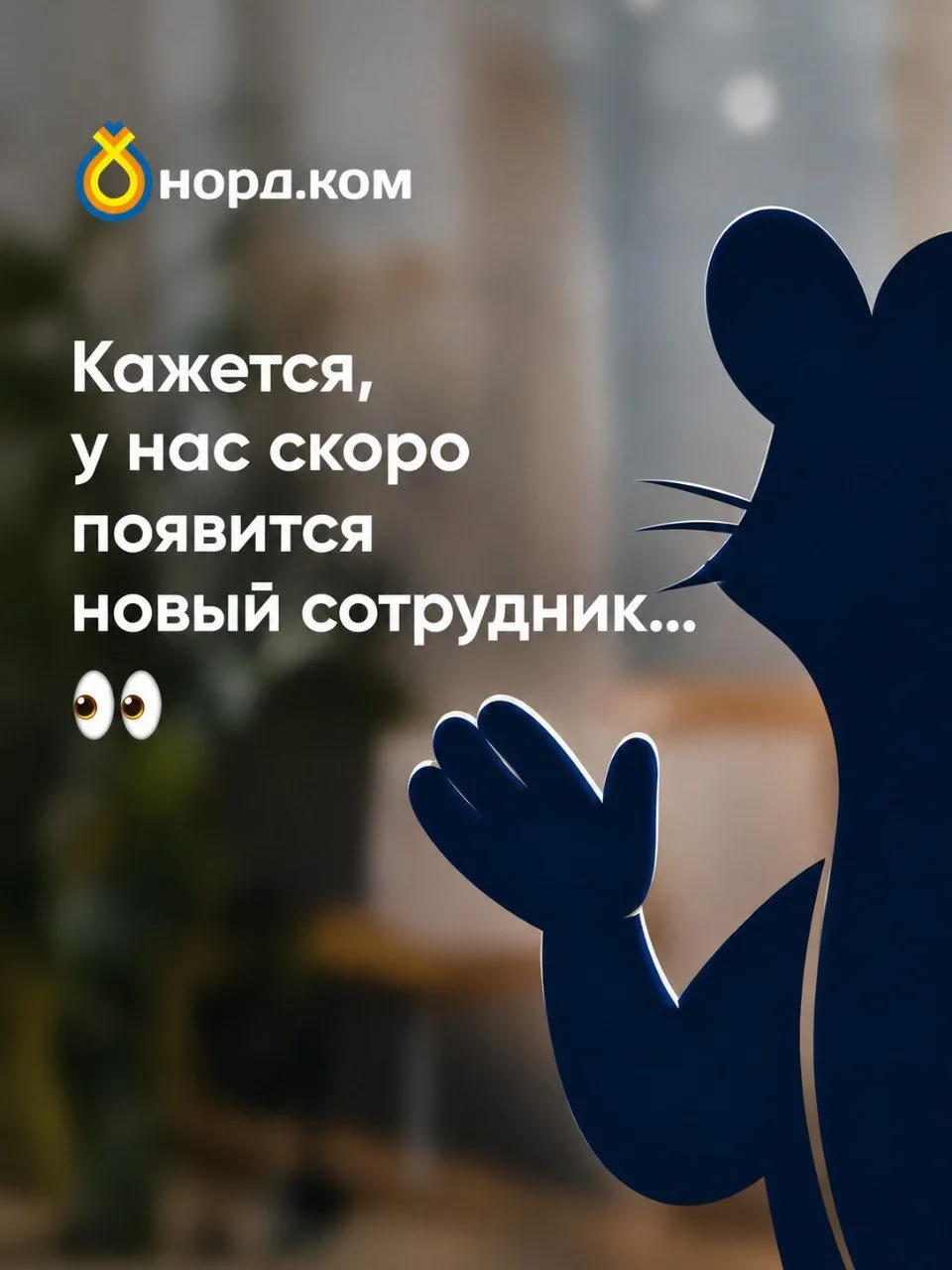 Кажется, в команде НОРД.КОМ намечается пополнение… 👀