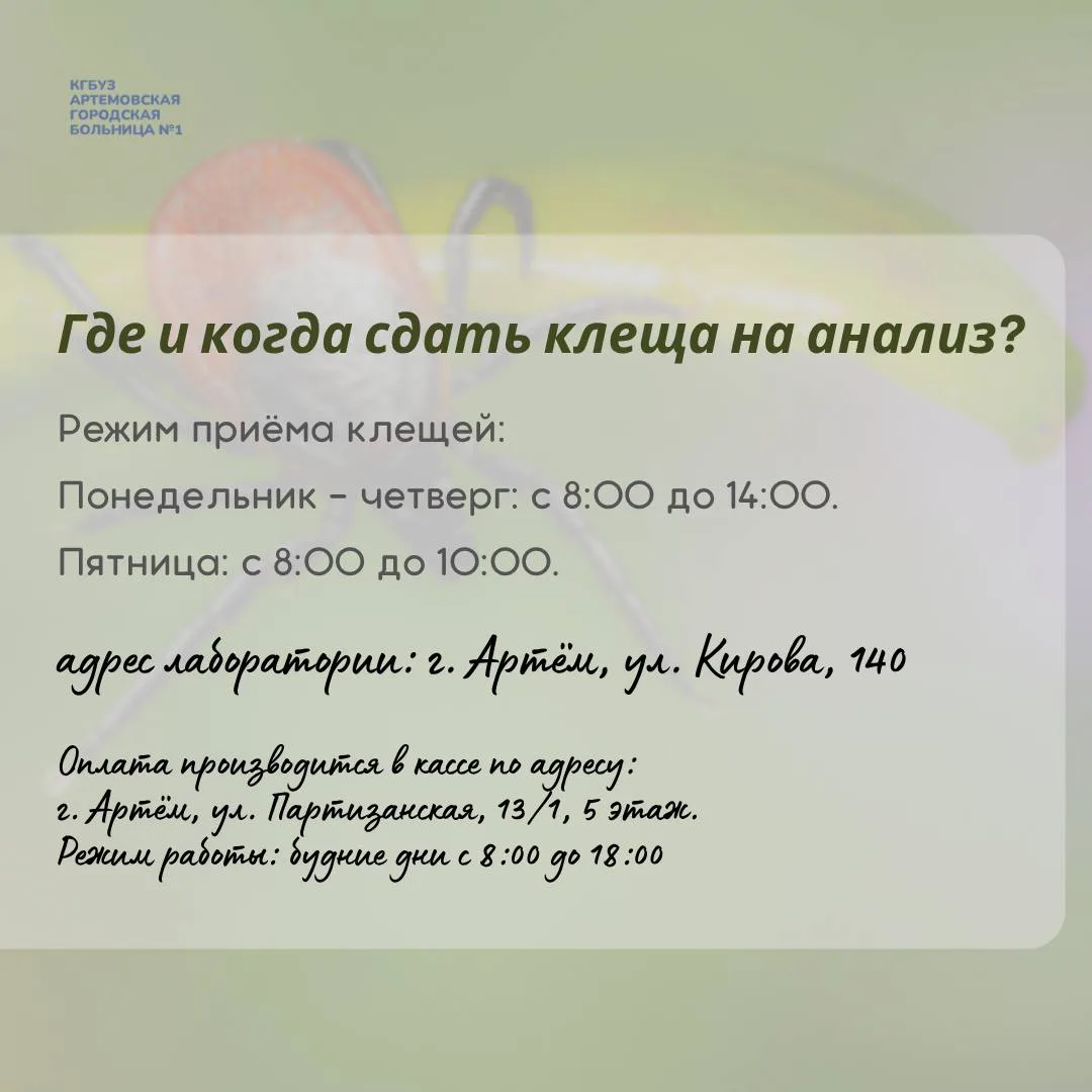 Клещи проснулись! Что делать?  Отвечаем в наших карточках на главные вопросы: как действовать при ук