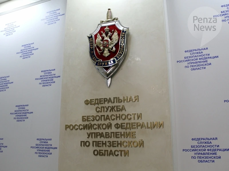 Четверо жителей Пензенской области подозреваются в неправомерном обороте средств платежей