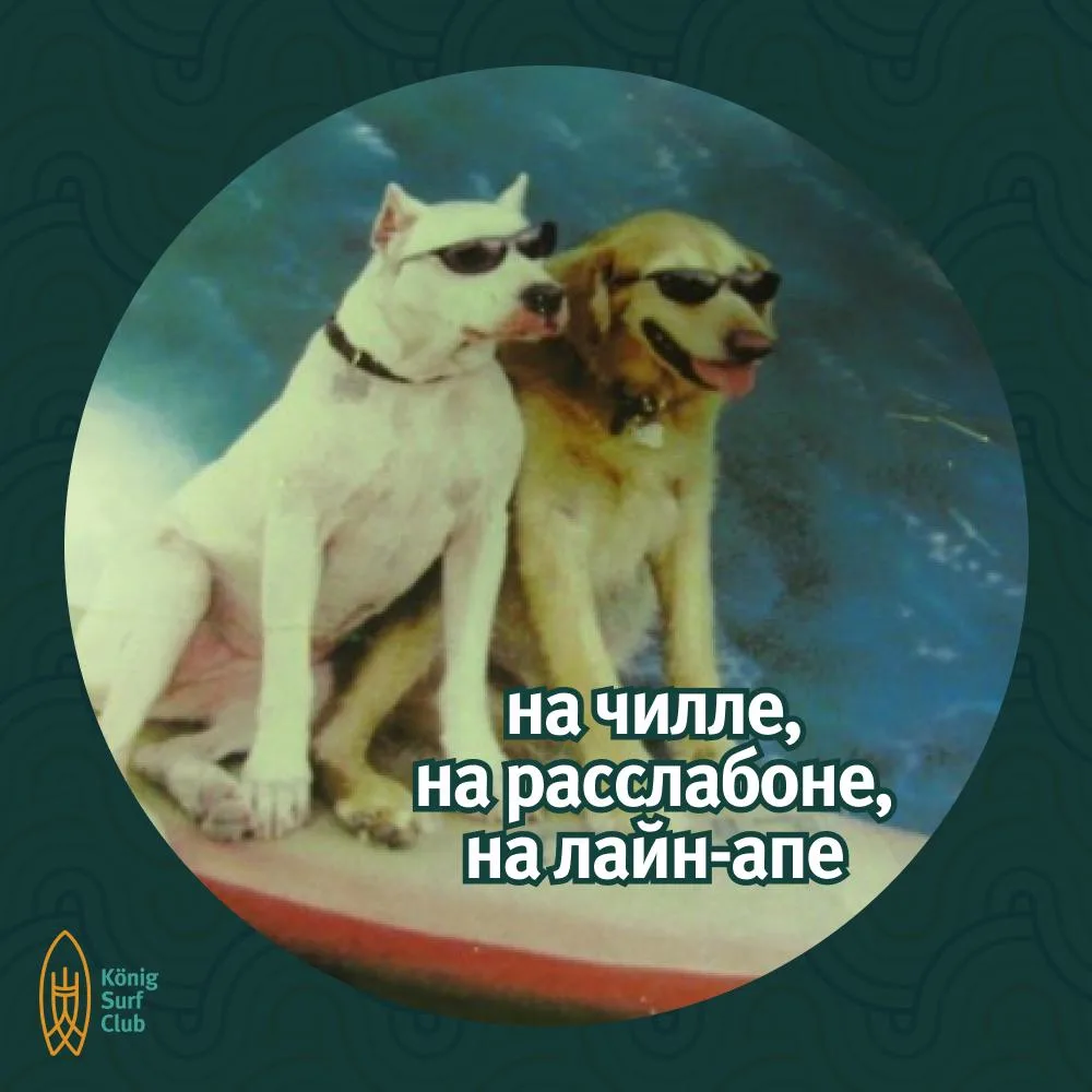 На случай важных переговоров и когда ну очень нужно намекнуть всему миру «Меня не беспокоить! Я на с