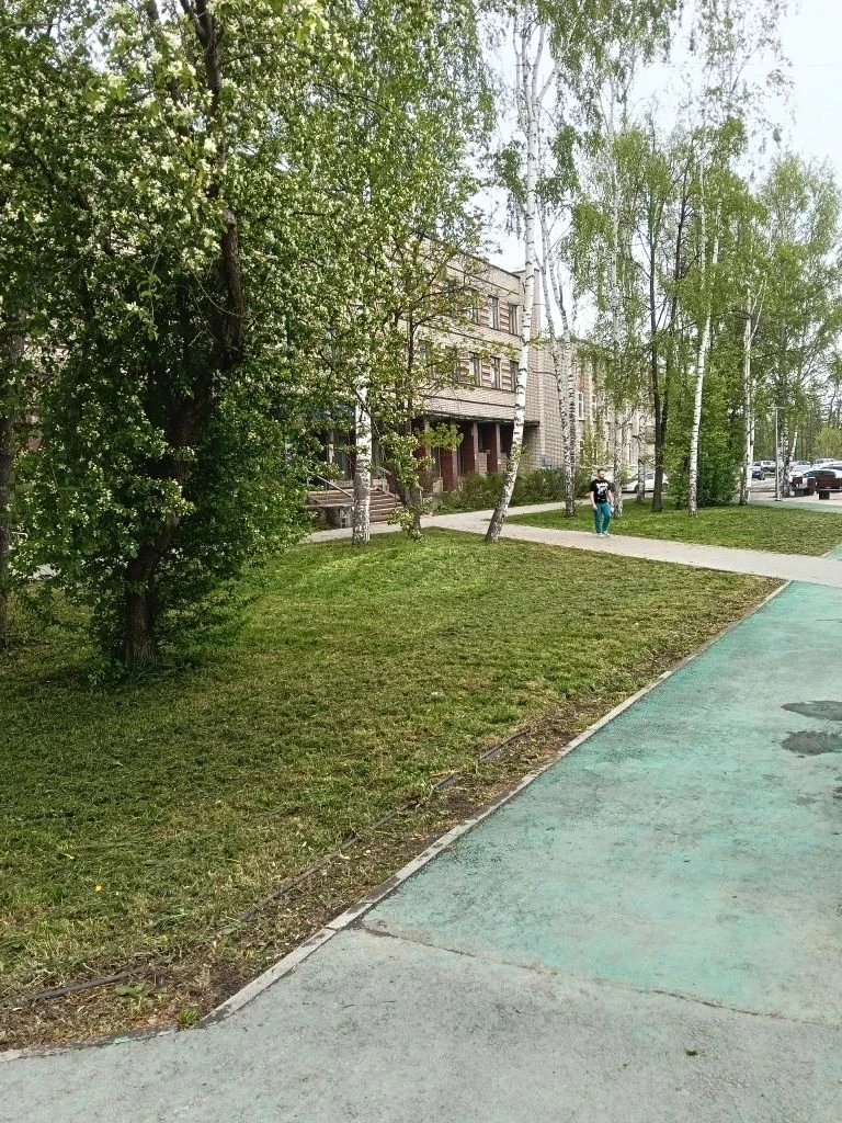 Городские службы приступили к сезонному благоустройству: стартовали покос травы, ремонт...