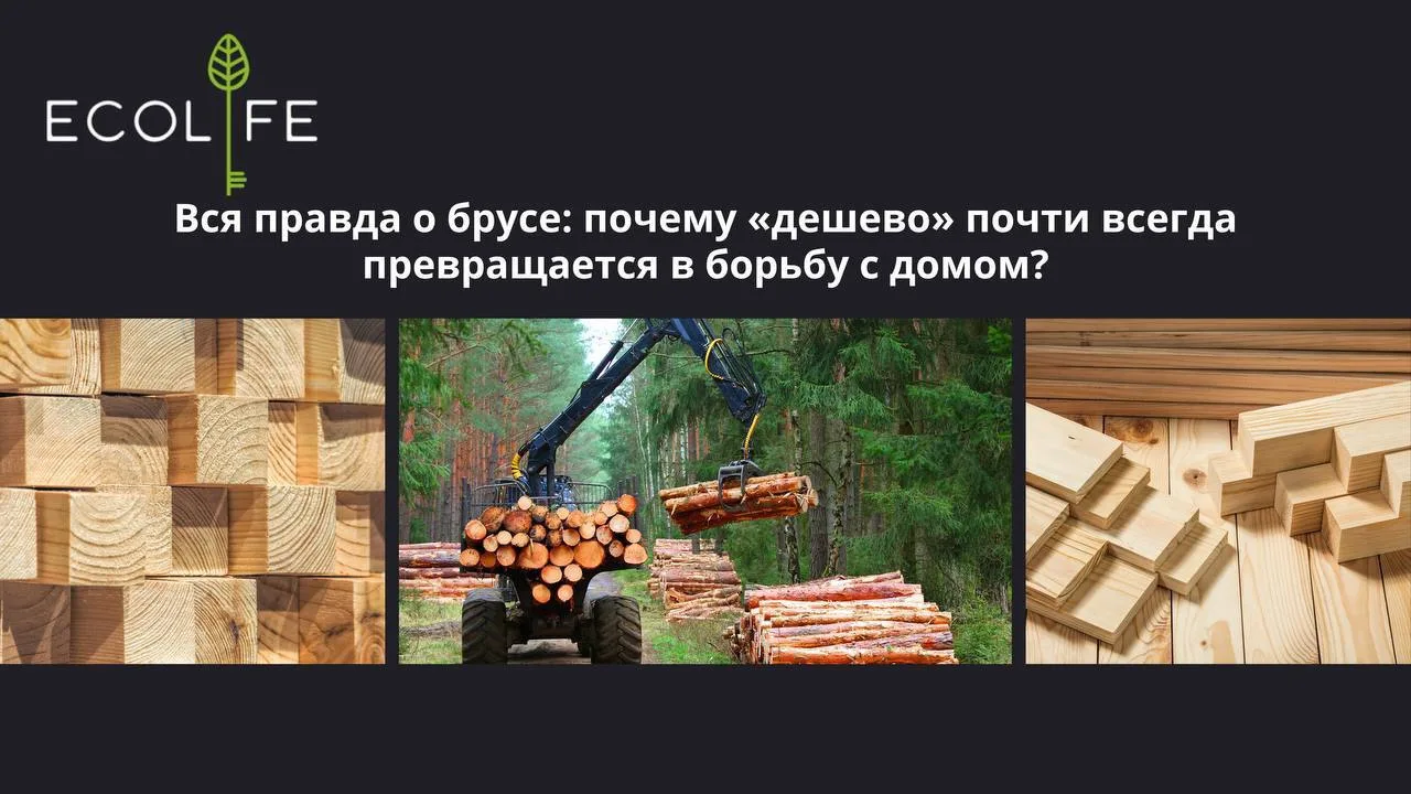 Вся правда о брусе: почему «дешево» почти всегда превращается в борьбу с домом? 🪵