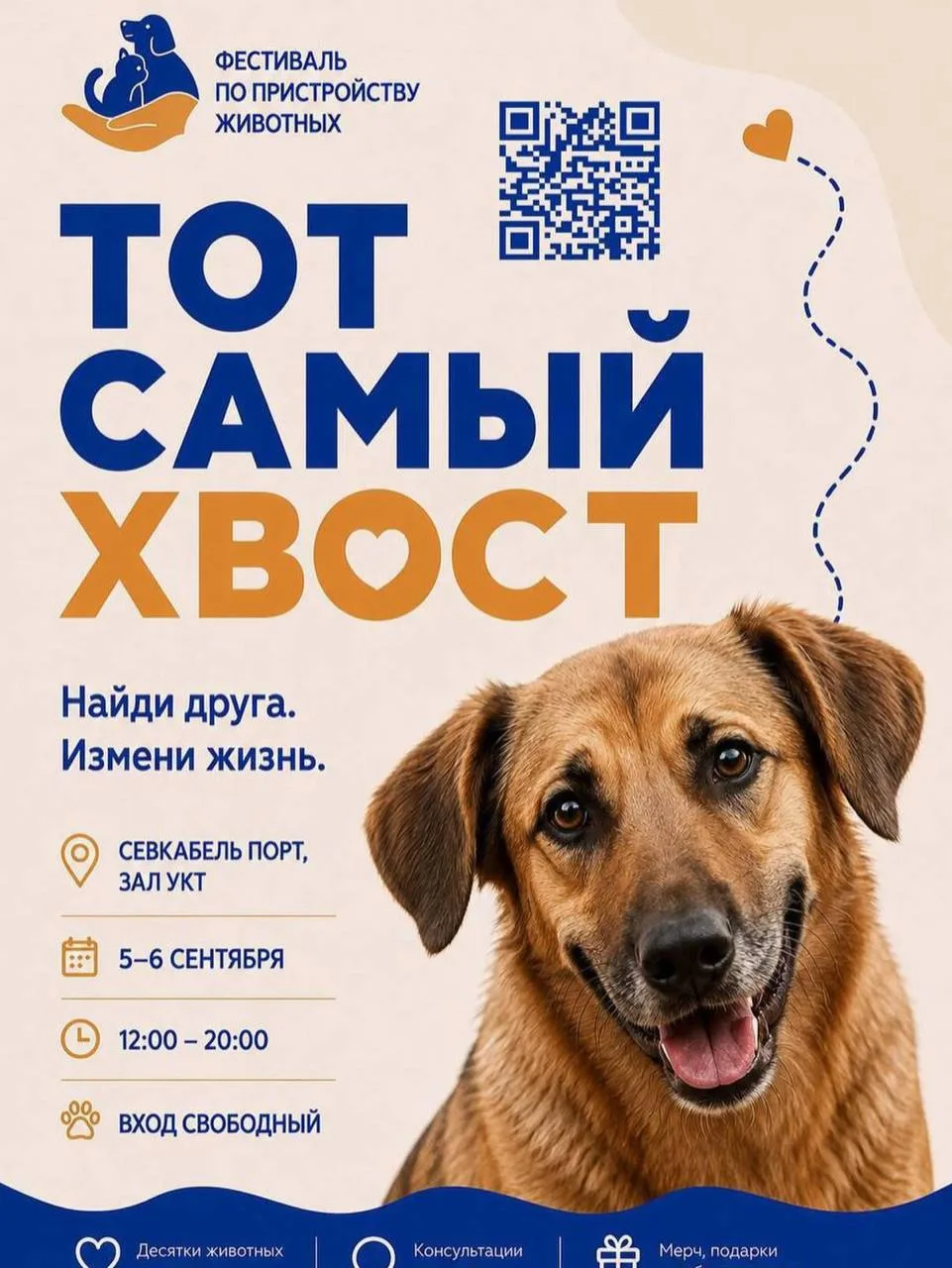 Тот самый хвост: ищем нового друга в Севкабеле
