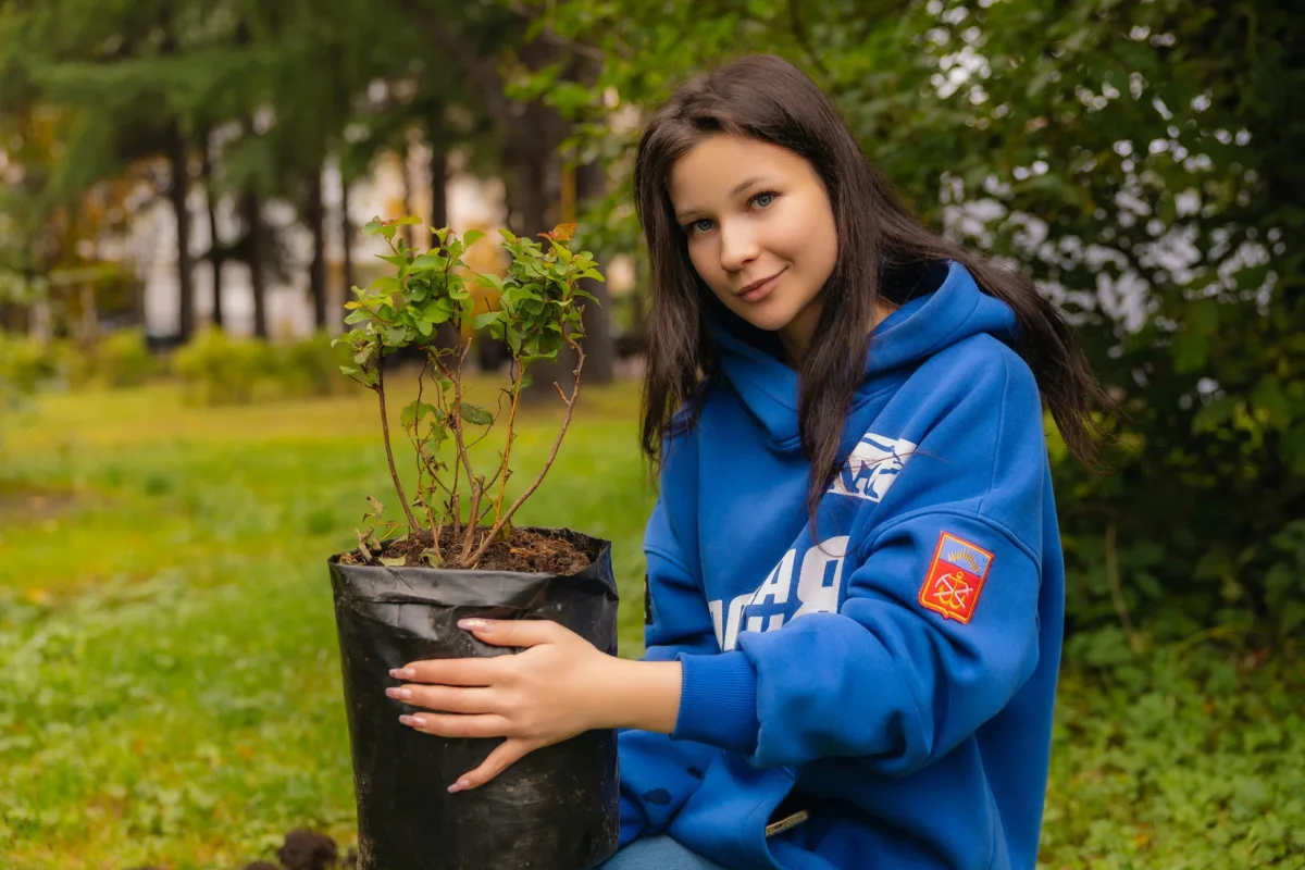 🌱 В Мурманске высадили более двух тысяч деревьев и кустарников