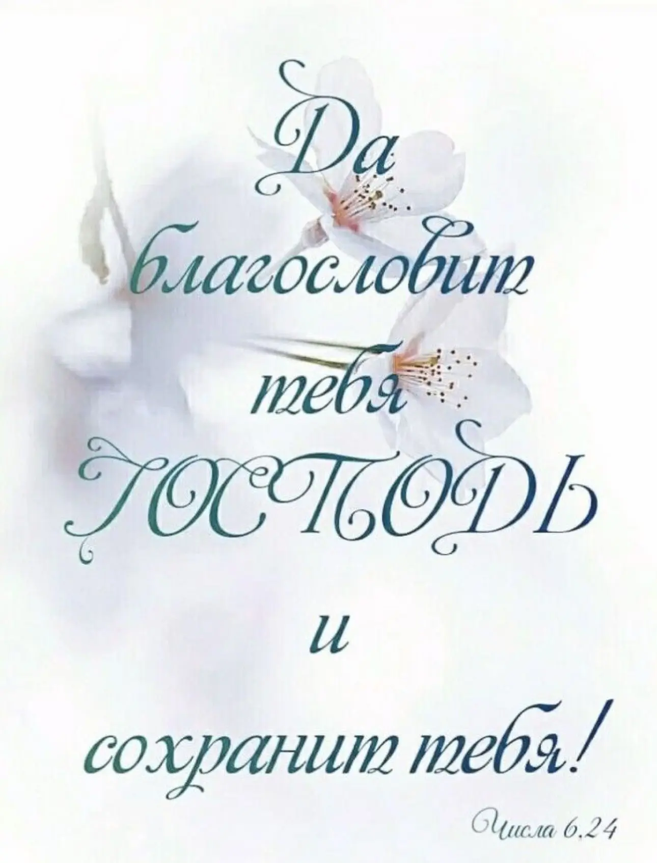 ✨ Тёплые послания