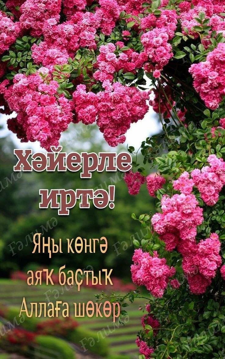 🌷 Открытки подписаться 👈