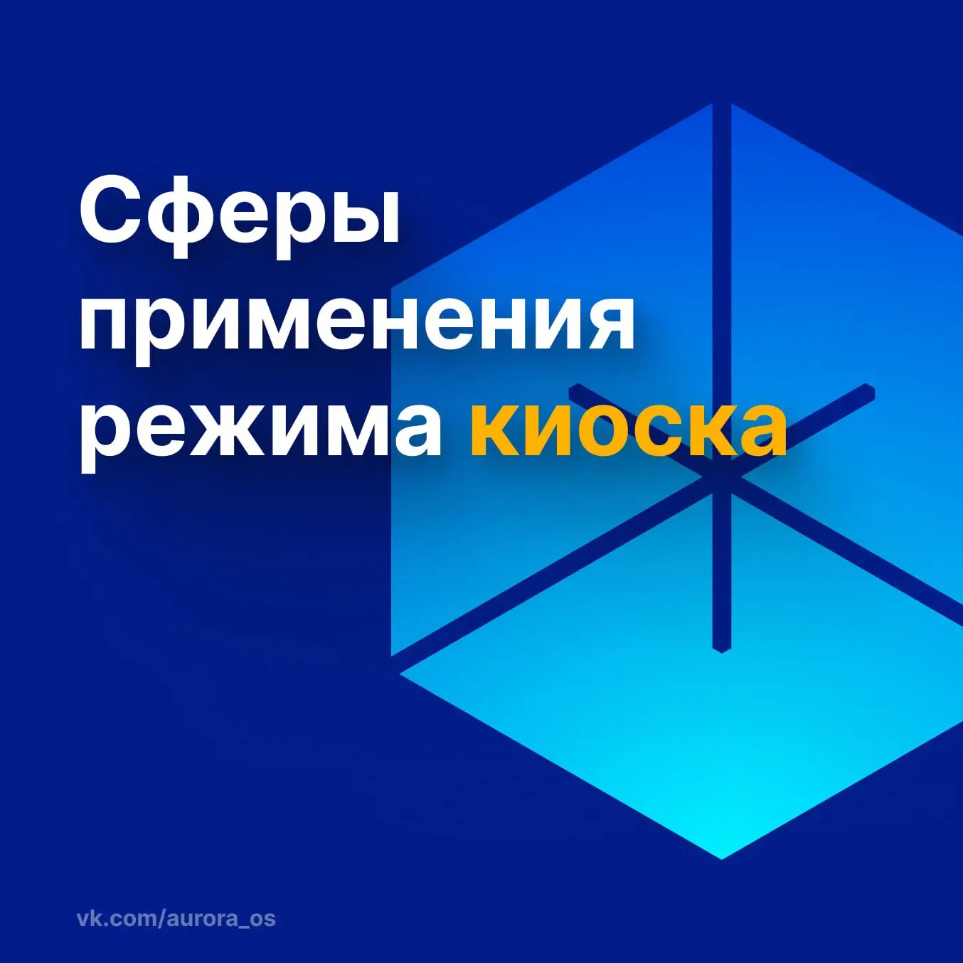 🏭 Где применяются устройства с режимом киоска

Такие устройства давно используются в российском биз