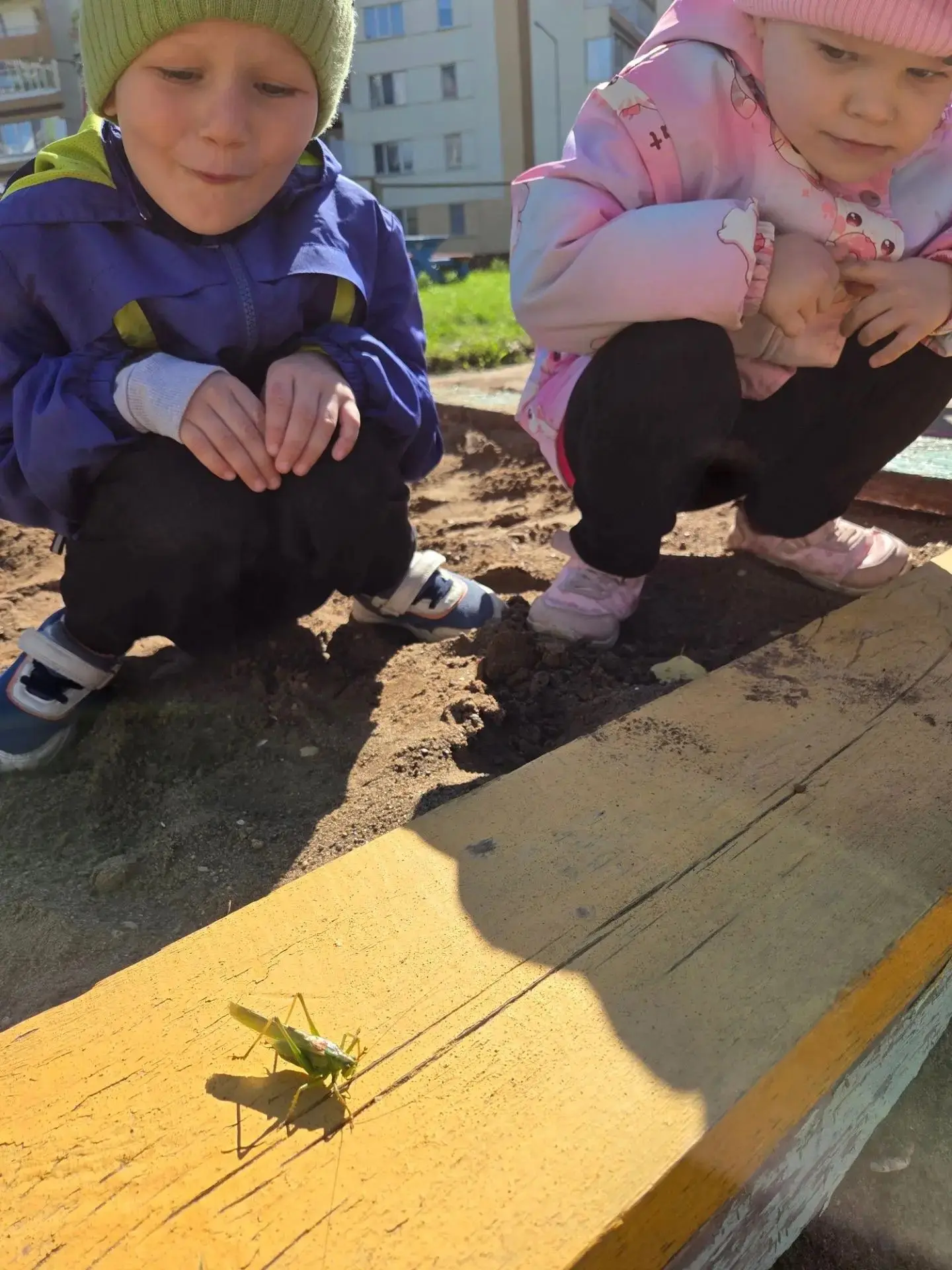 🦗 Сегодня обычная прогулка превратился в настоящие преключение! Причиной стал гость не...