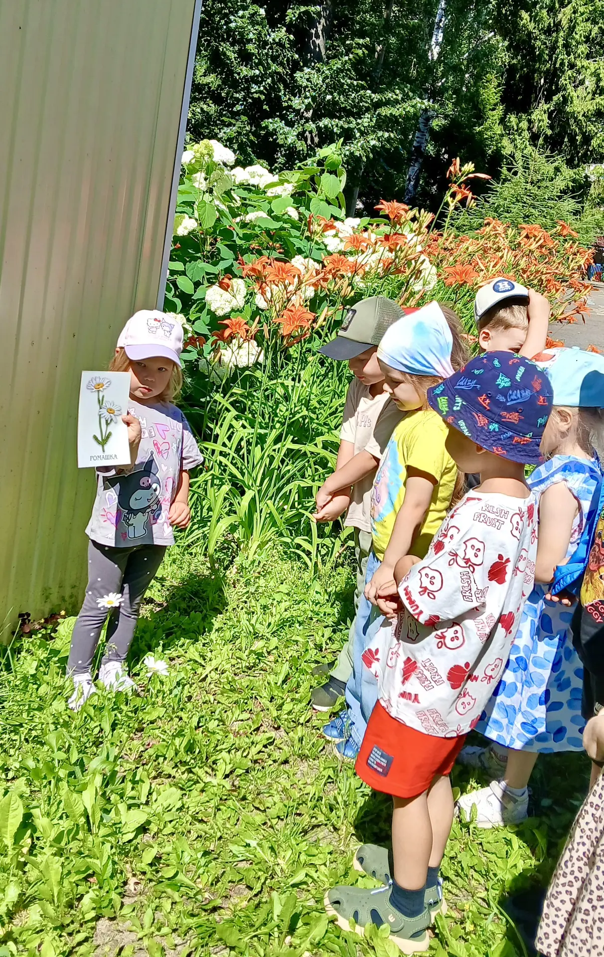 🌺 Лето — одно из самых благоприятных времён года для прогулок, игр и, конечно же, наблюдений за при