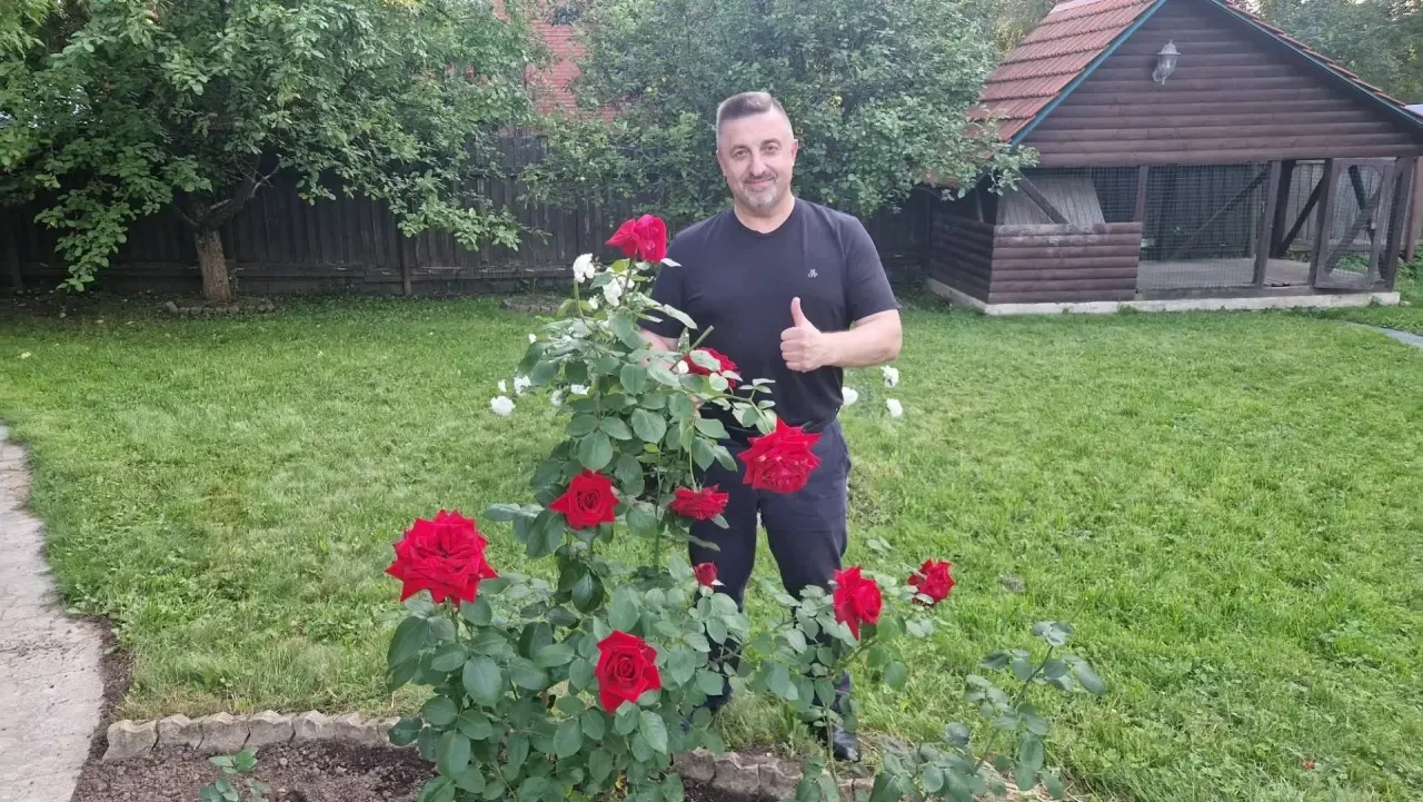 Взгляните, какая красота! Вот такие классные розы вырастила собственными руками моя жена!