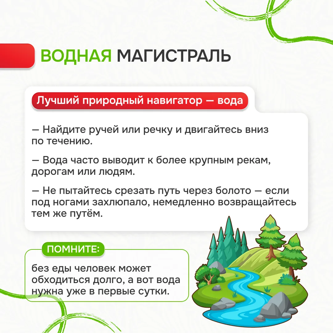 Памятка «Лес без происшествий»: Ваш гид по безопасному отдыху на природе Лес – это удивительное мест