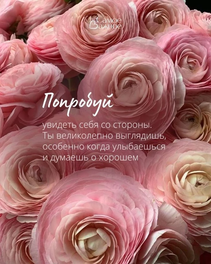 Изображение 1 к публикации «ГОРОСКОП НА КАЖДЫЙ ДЕНЬ»