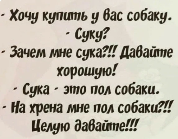 🤗 МАРУСЯ С ЮМОРОМ