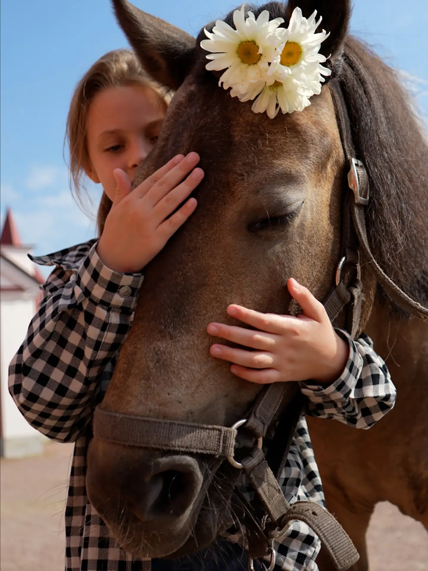 🐴 Исторический комплекс «Императорская ферма» приглашает гостей на интерактивную прогр...