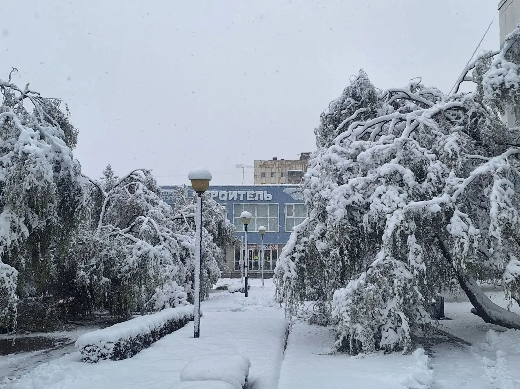 По дороге к "Строителю")