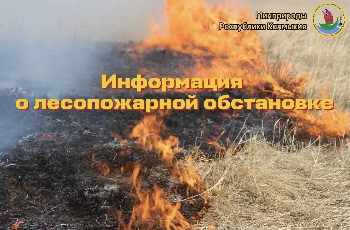 🚨О лесопожарной обстановке в Республике Калмыкия на 10 июня 2026 года

По данным Региональной диспе