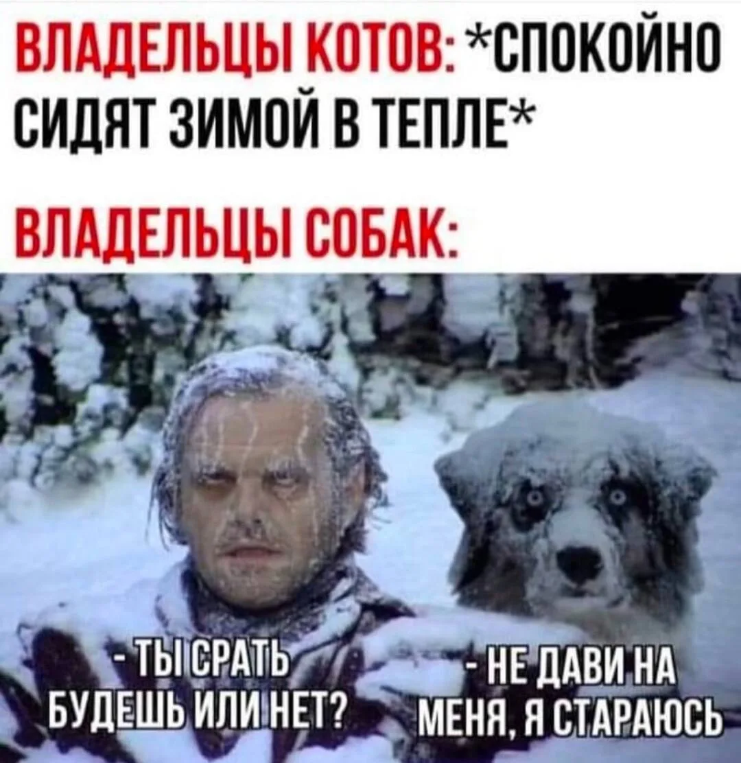 🤣🤣🤣