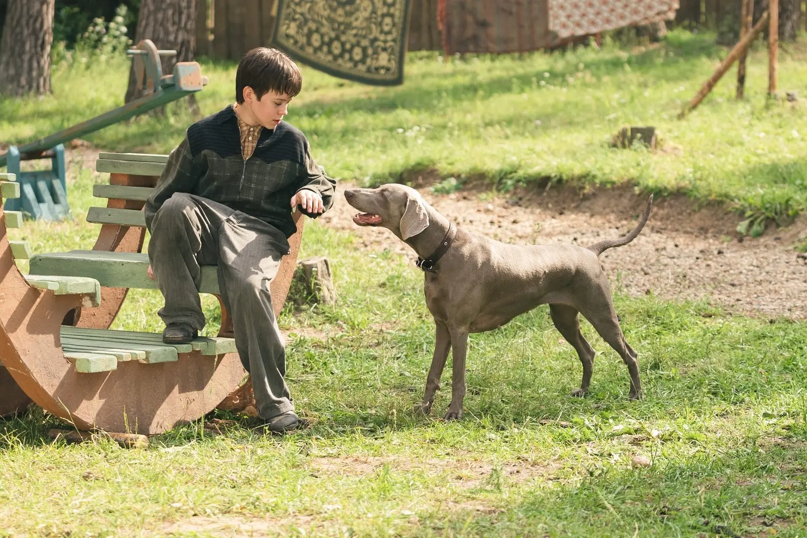 Рекомендуем к просмотру. Каруза🐕