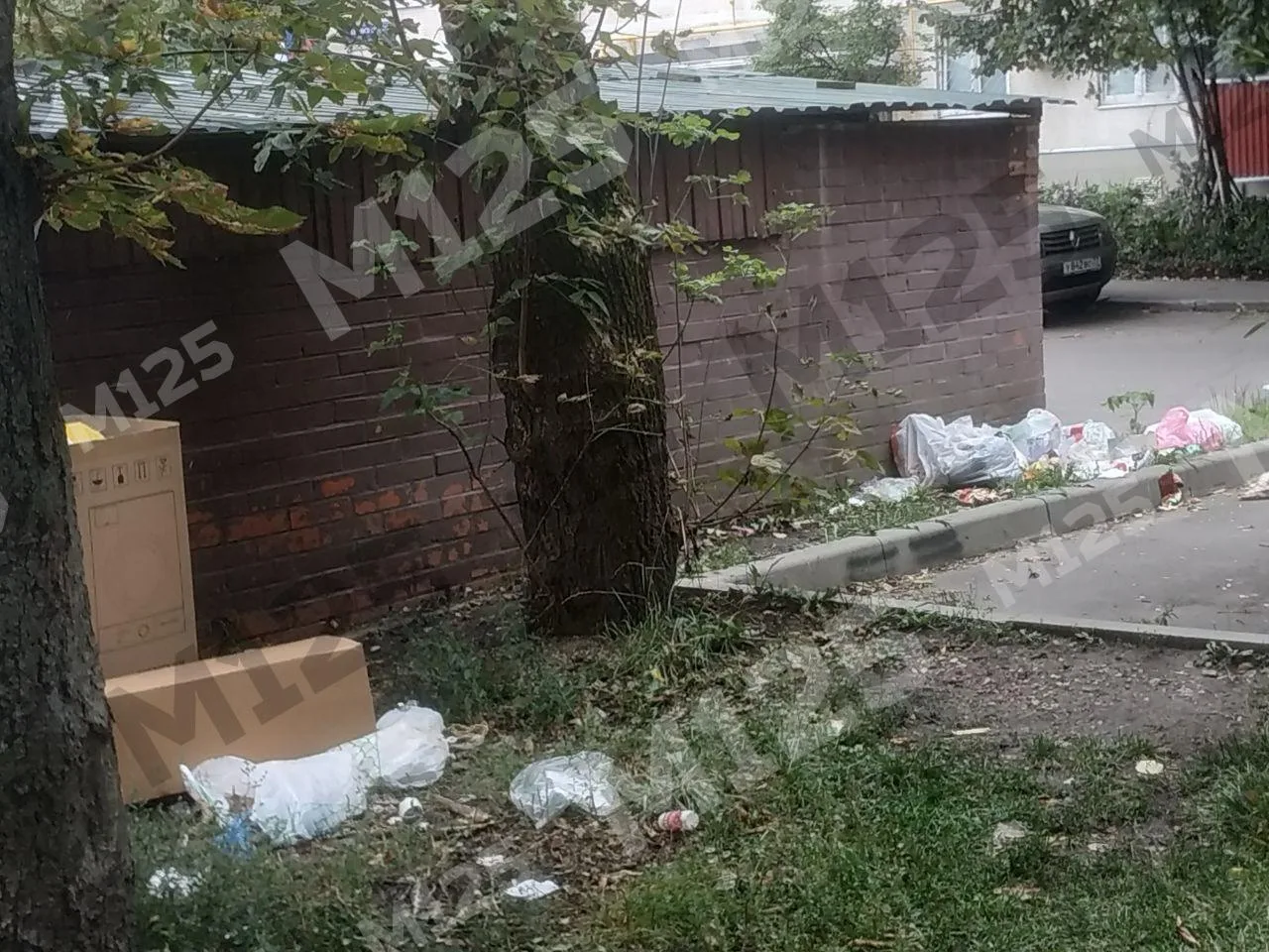 👀 Светлана М. поделилась фотографиями, как выглядит двор на Дубнинской, 12к4, у контей...
