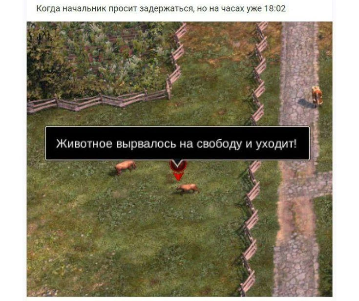 В Уфе отказались от строительства зоопарка в парке Лесоводов