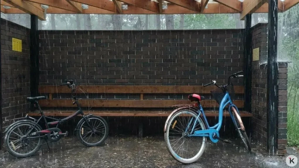 🚴‍♂️⛈️ ВОДИТЕЛЬ АВТОБУСА №210 НА КУРШСКОЙ КОСЕ ОТКАЗАЛ В ПЕРЕВОЗКЕ ПАССАЖИРОВ С ВЕЛОСИПЕДАМИ

Семей