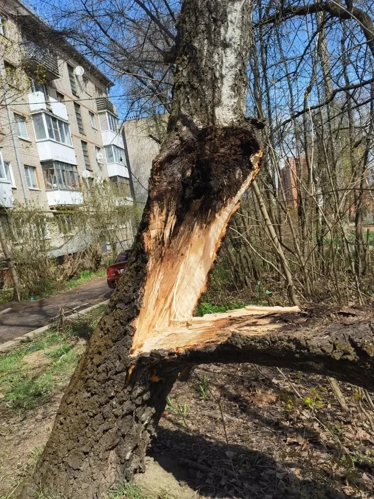 ❗️В связи с усилением порывов ветра и неблагоприятными погодными условиями все коммунальные службы г