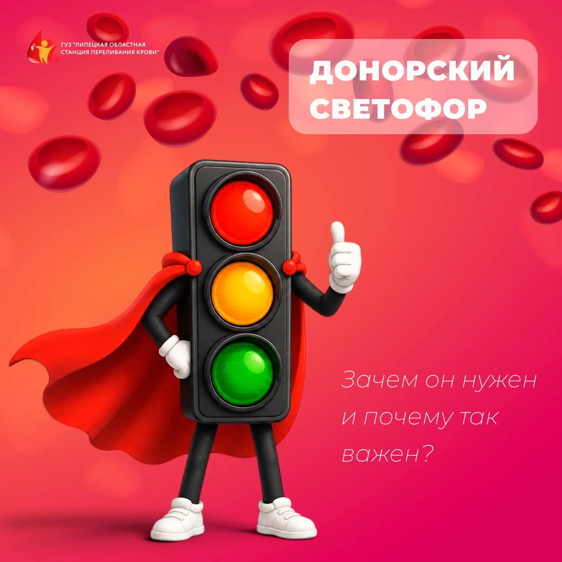 🚦 С Днём знаний! 📚