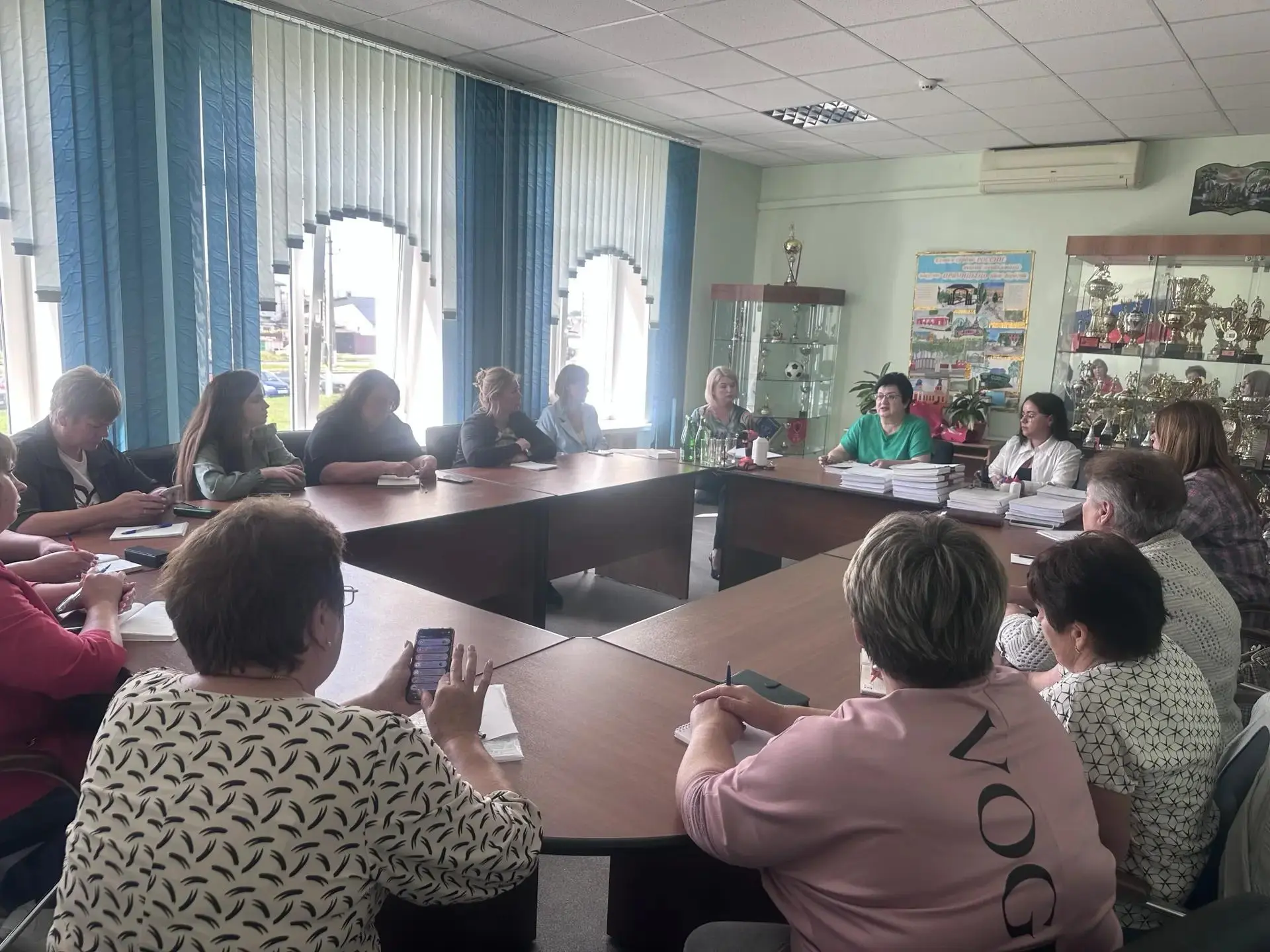 Сегодня, 17 июня 2026 года, в Администрации поселка Прямицыно состоялся практикум-совещание, организ