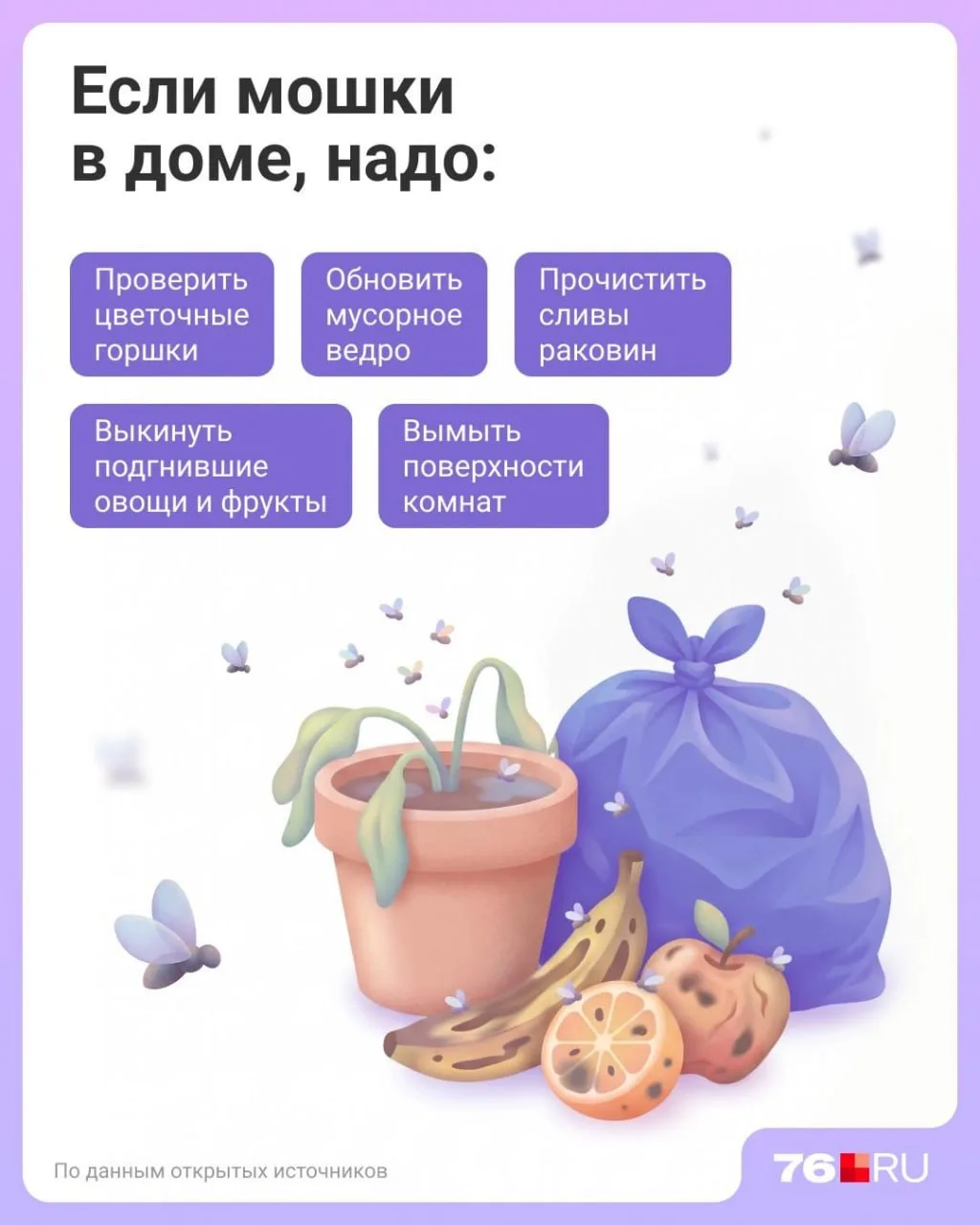Мошки атаковали ваш дом, а вы не знаете почему? Перепробовали кучу способов, а избавить...