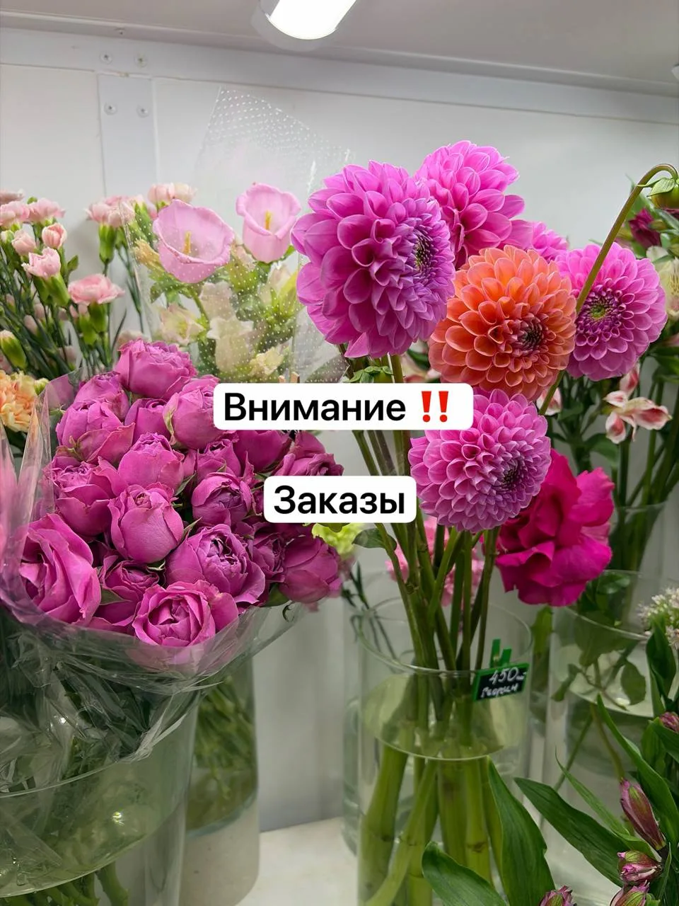 Готовы: