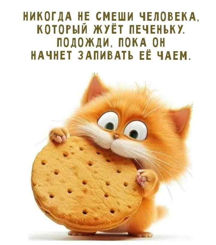 Я капельку ТюТю

       ТЫК СЮДА🖍️
 👉 ПОДПИШИШЬ👈