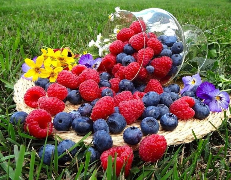 Лето в разгаре, а значит-время ягод!🍓
Сегодня отличный повод позаботиться о себе. Вместо сладкого д
