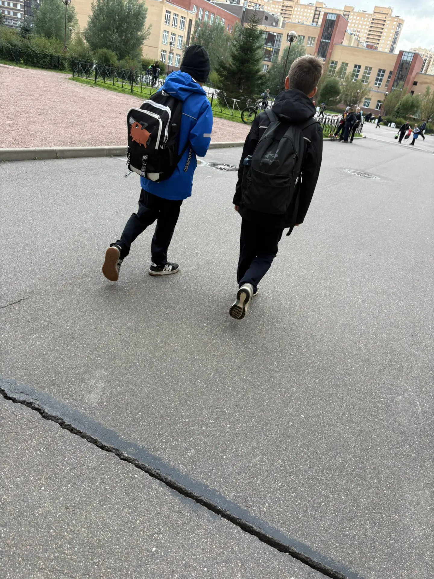 Предложка: