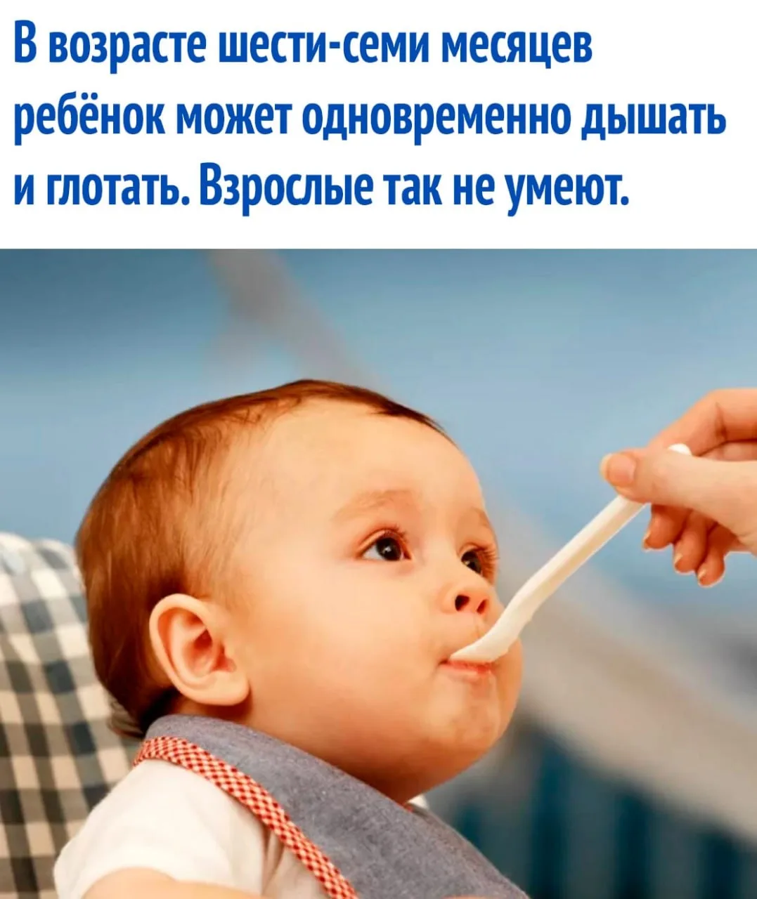 интересные факты / тайны / загадки / наука