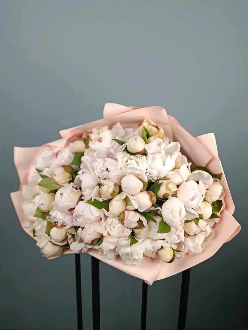Пиономания началась 🥰