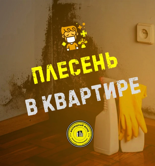 ☣️ ЧТО ДЕЛАТЬ, ЕСЛИ В КВАРТИРЕ ПОЯВИЛАСЬ ПЛЕСЕНЬ?