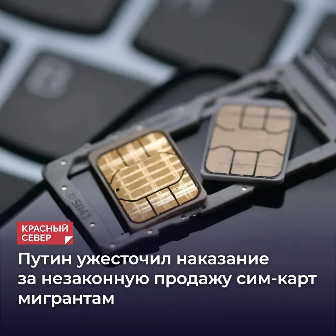 📲 В России ужесточили наказание за незаконную продажу сим-карт иностранным гражданам и лицам без гр