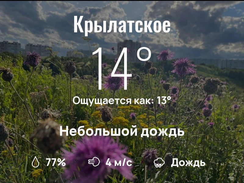 Что с погодой в Крылатском?
