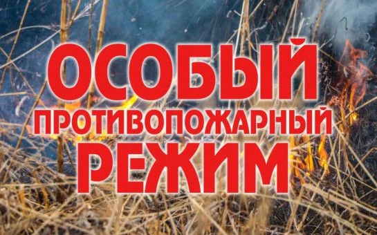 ❗️В Калининградской области до 31 мая 2026 года действует особый противопожарный режим❗️