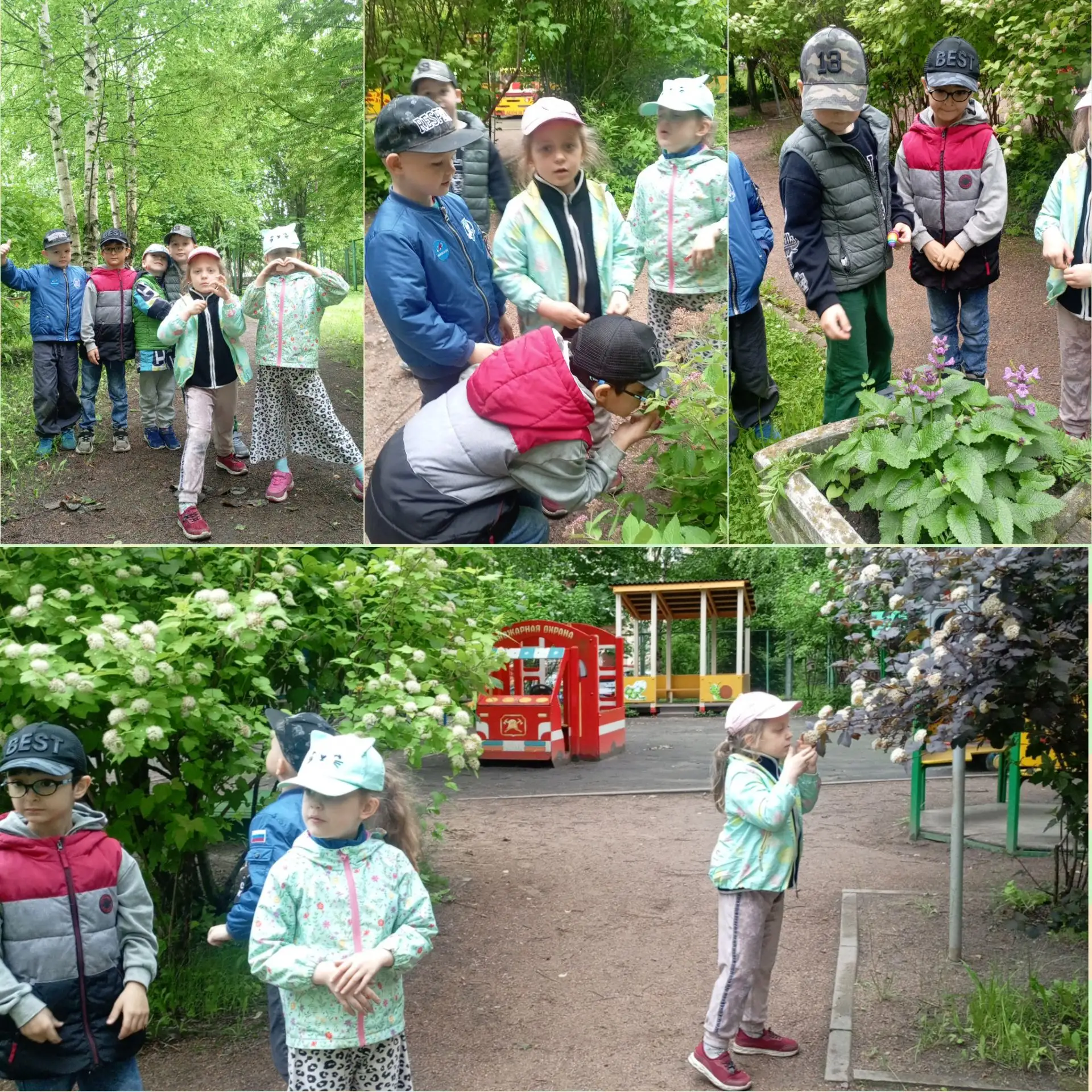 ☀️🍀🌳🌲🌱🤗🐜
Оазис в сердце города: наша маленькая вселенная
Центр Санкт-Петербурга. Величественны