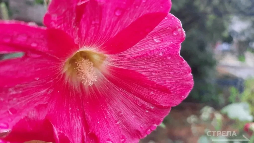 🌦Погодные условия в Брянской области продолжают ухудшаться. Завтра, 8 июля, по данным ...