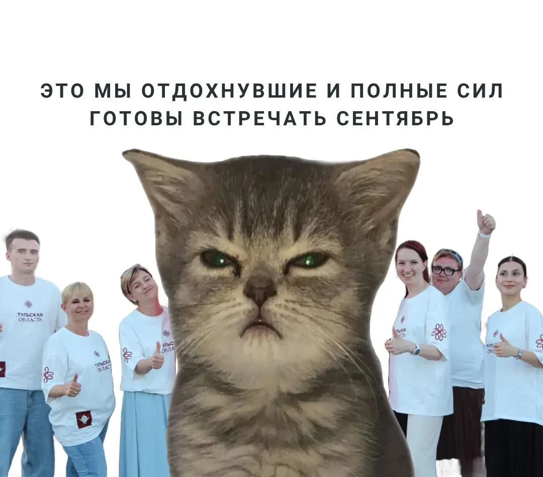 За три месяца успели сделать столько, что пора заводить отдельный паспорт — только уже ...