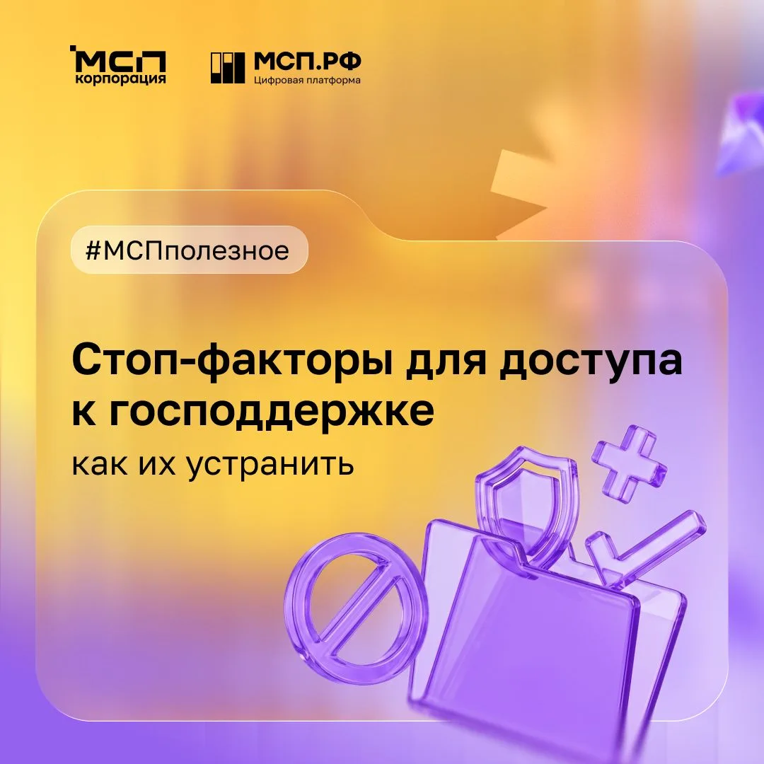 💬 «Почему моему бизнесу отказывают в господдержке, хотя все документы в порядке?»