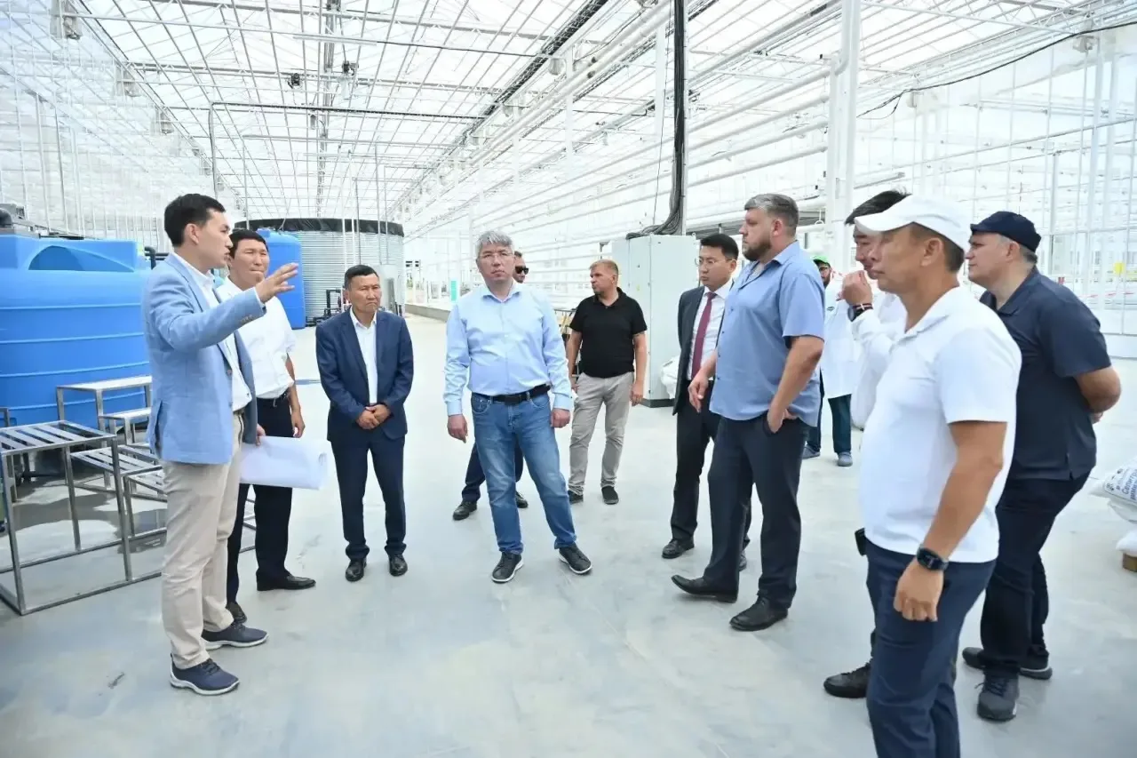 🍅 Крупнейший на Дальнем Востоке тепличный комплекс заложил первую партию рассады