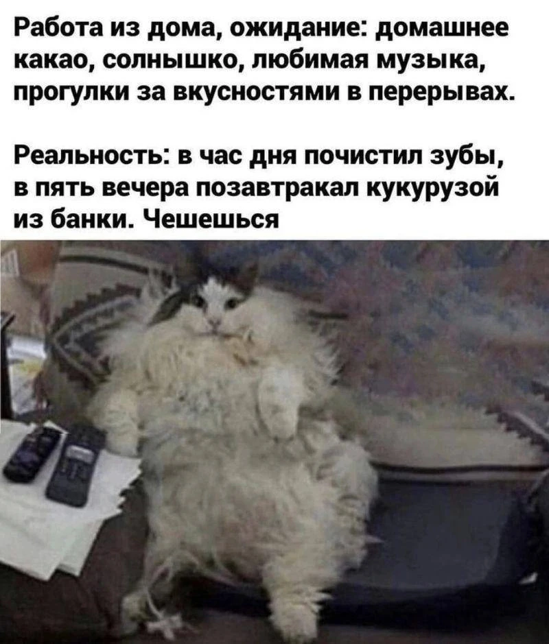 Мы?